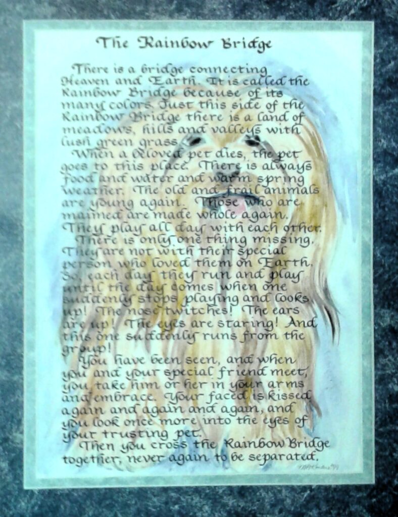 Calligraphy