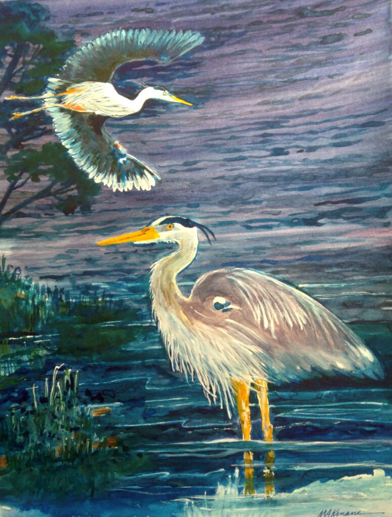 Blue Heron Watercolor on paper, 9x12 image size